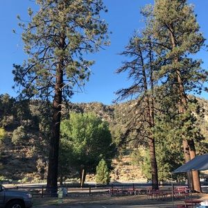 Meet your Posher, Alana